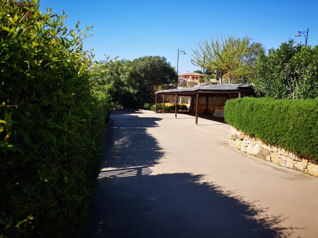 WhatsApp Image 2022-05-01 at 22.59.02 (1)