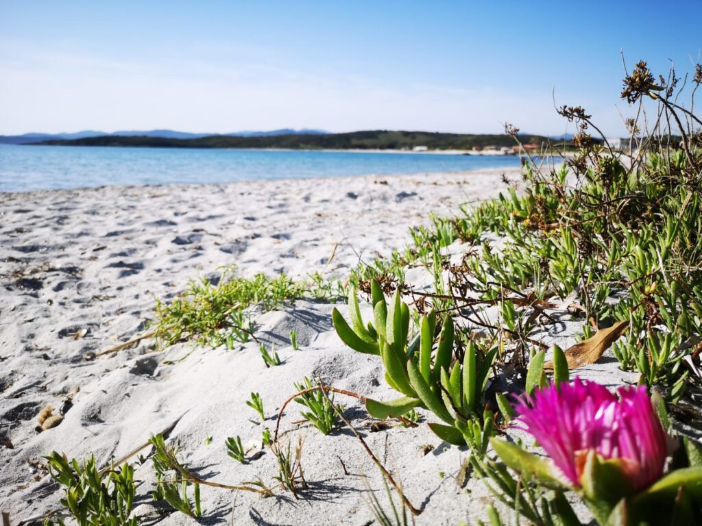 WhatsApp Image 2022-05-01 at 22.59.03